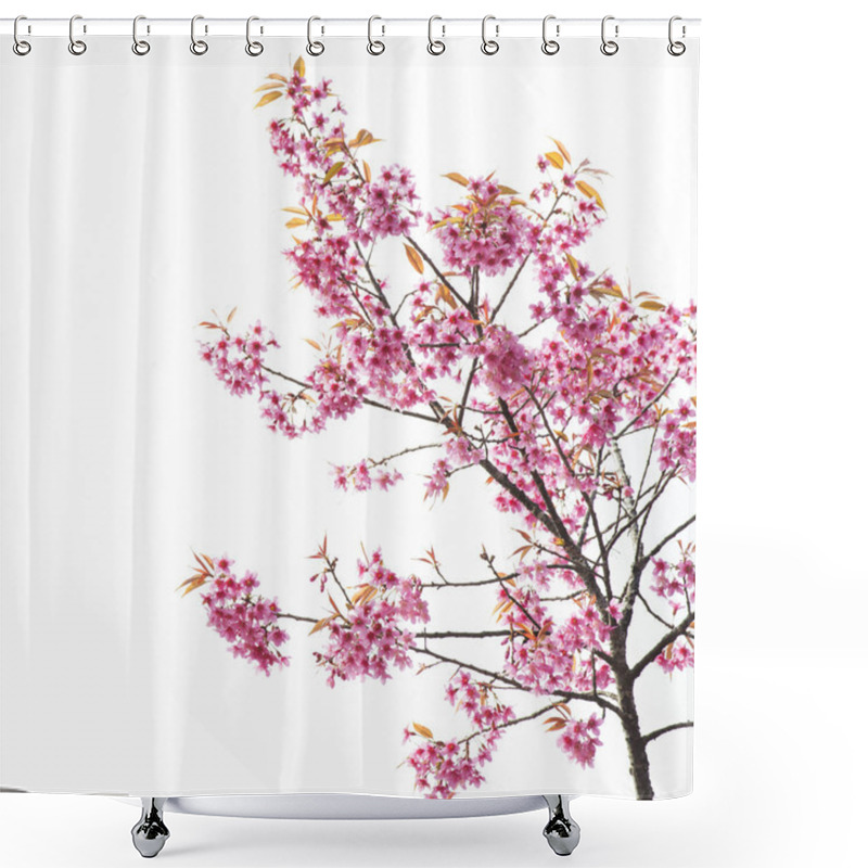 Personality  Sakura Flowers Or Cherry Blossom Shower Curtains