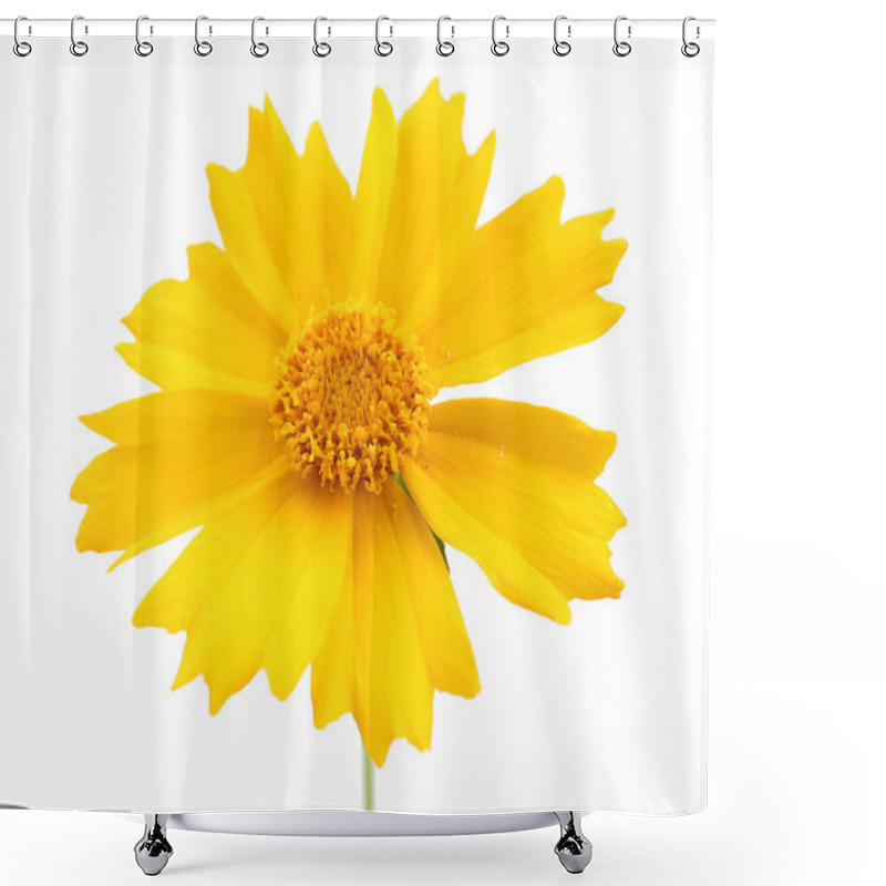 Personality  Beautiful Wild Flowers Isolated On White Shower Curtains