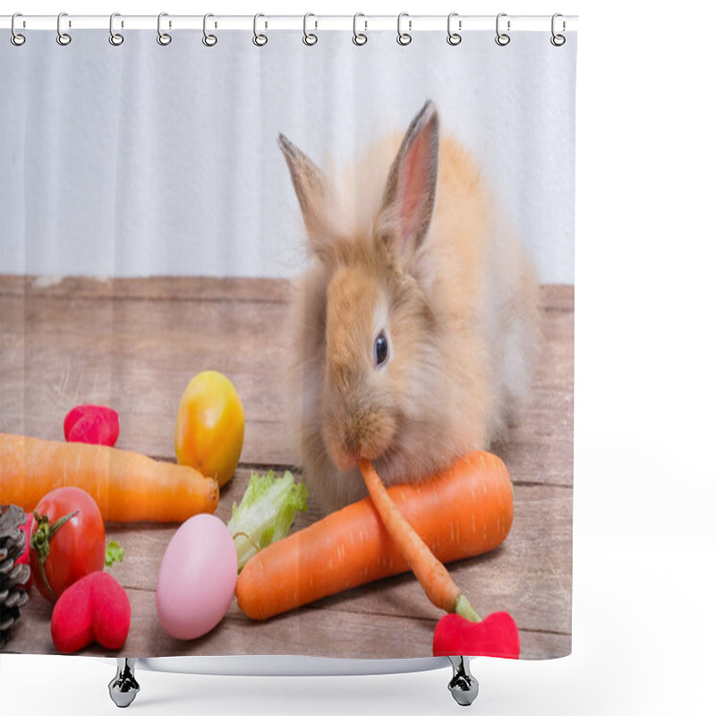 Personality  Rabbits On Wooden Floors, Carrots, Cucumbers, Tomatoes And Barre Shower Curtains