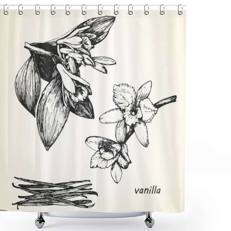 Personality  Hand-drawn Illustration Of Vanilla Shower Curtains