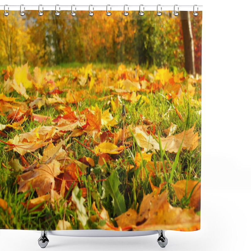 Personality  Maple Leaves, Tree Leaves Foliage Shower Curtains