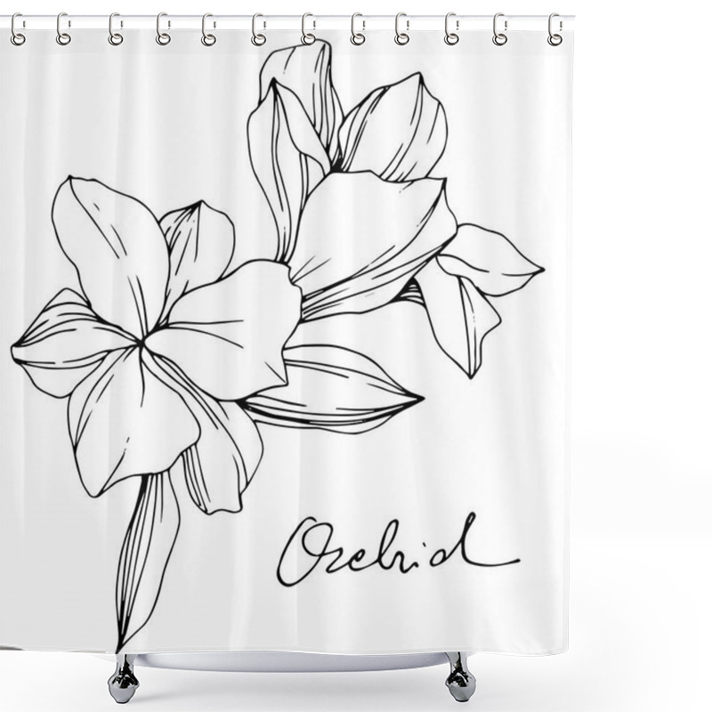 Personality  Beautiful Orchid Flowers. Black And White Engraved Ink Art. Isolated Orchids Illustration Element On White Background. Shower Curtains