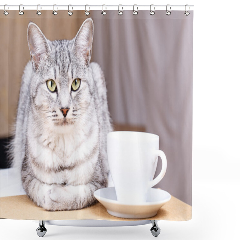 Personality  White Tea Mug Cat Shower Curtains