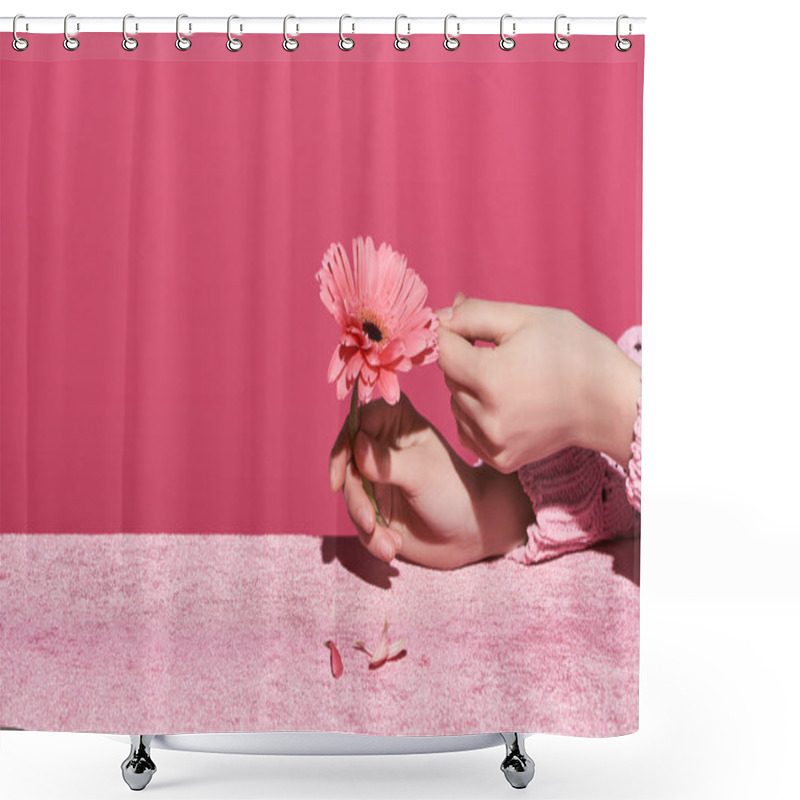 Personality  Cropped View Of Woman Picking Out Gerbera Petals On Velour Cloth Isolated On Pink, Girlish Concept  Shower Curtains