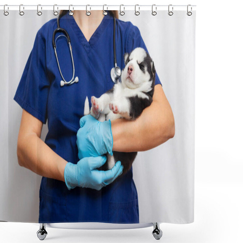 Personality  A Veterinarian In Blue Scrubs Holding A Sleeping Puppy While Wearing Latex Gloves And A Stethoscope Around Their Neck. Studio Portrait Showing Veterinary Care Shower Curtains