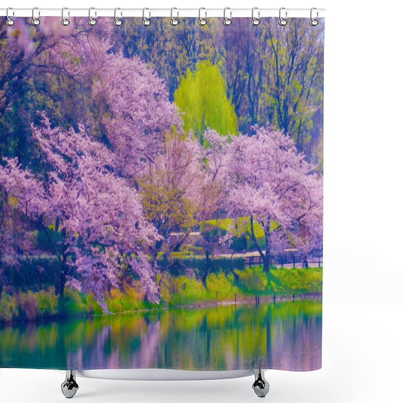 Personality  Cherry Blossoms And Spring Scenery Reflected In The Pond. Shooting Location: Tsurumi Ward, Yokohama City Shower Curtains