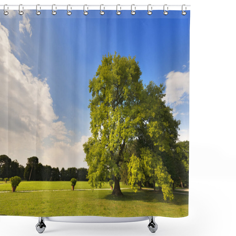 Personality  Big Oak Tree On A Green Meadow Shower Curtains