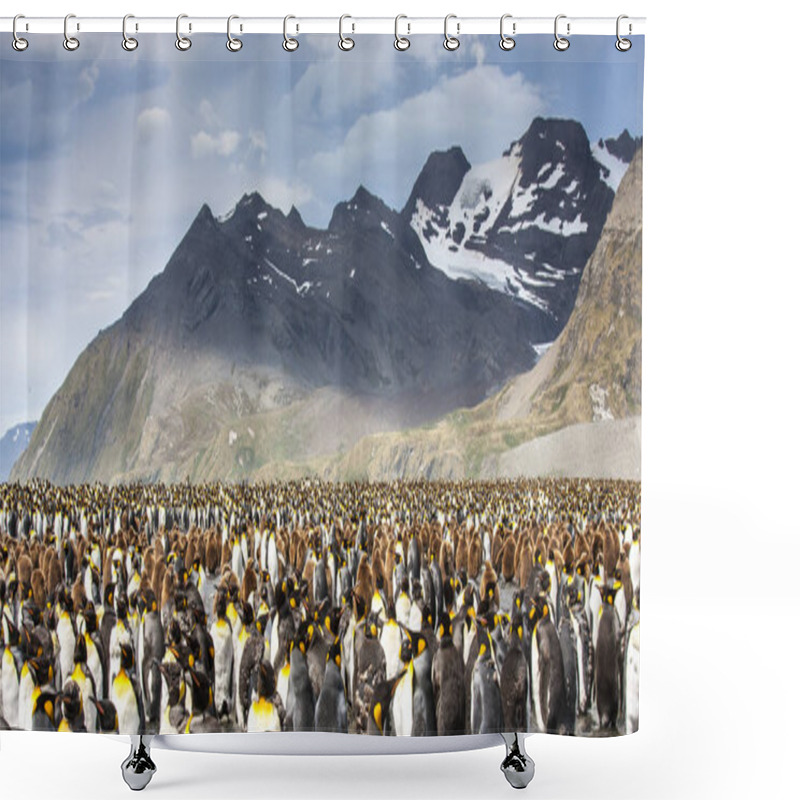 Personality  King Penguins Breeding Colony In An Island Of South Georgia Shower Curtains