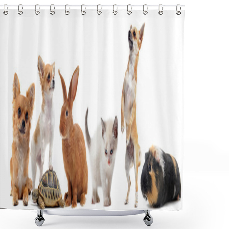 Personality  Group Of Pets Shower Curtains