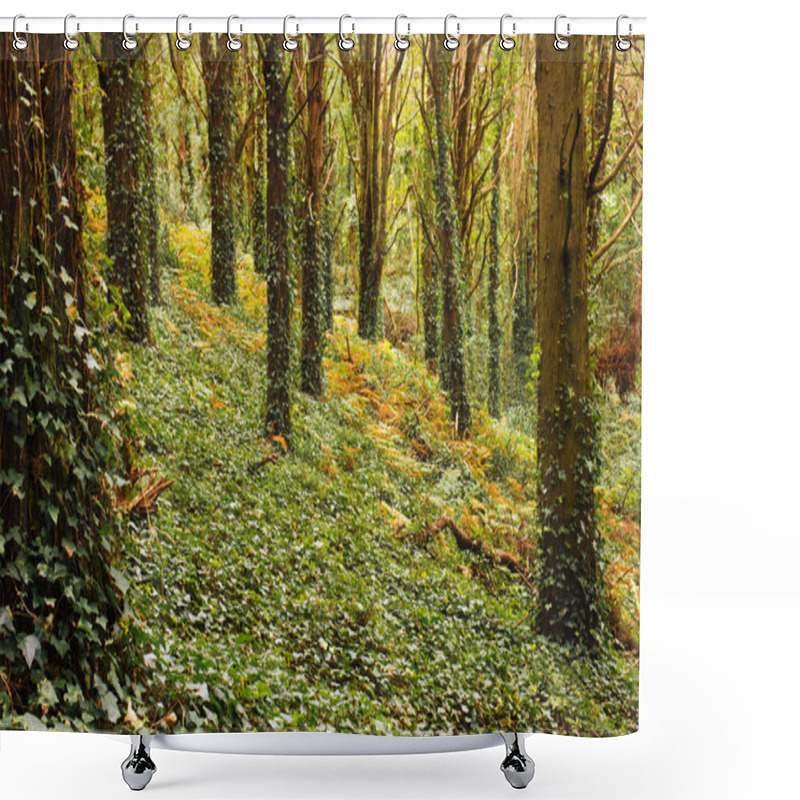 Personality  Forest Trees Shower Curtains