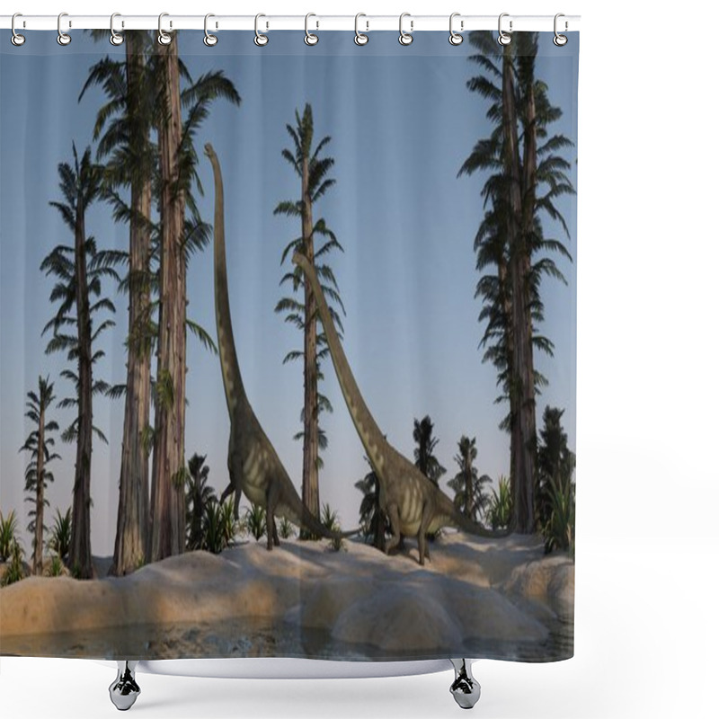 Personality  Mamenchisauruses On Shore Shower Curtains