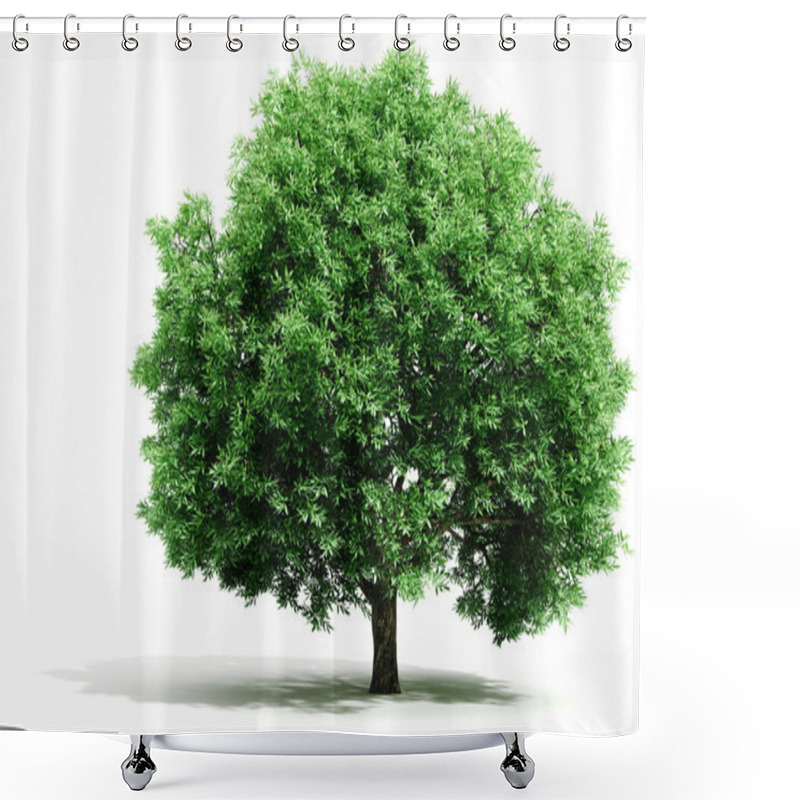 Personality  3d Tree Render On White Background Shower Curtains