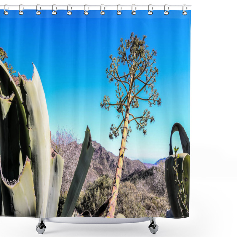 Personality  Green Agave Plant Cactus In The Canary Islands Shower Curtains