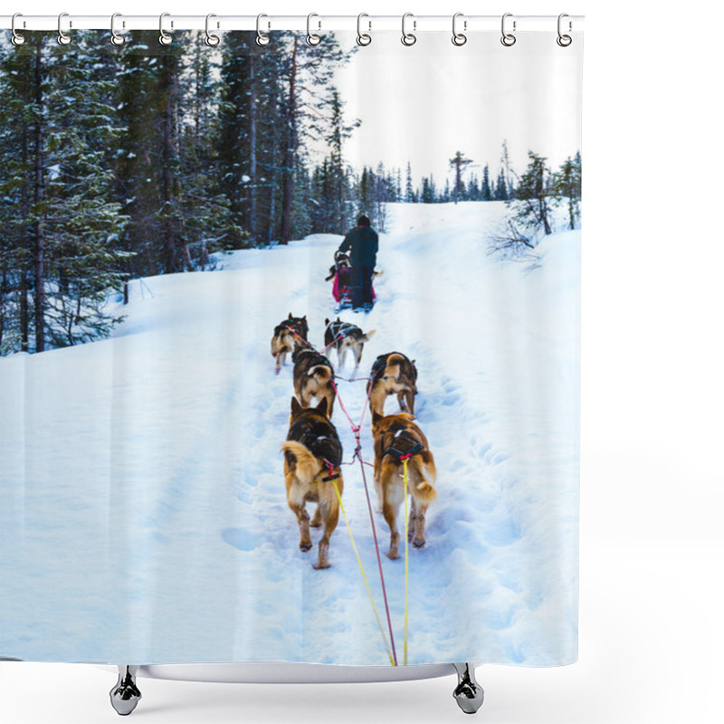 Personality  Dog Sledding With Alaskan Huskies Through A Winter Wilderness. High Quality Photo Shower Curtains