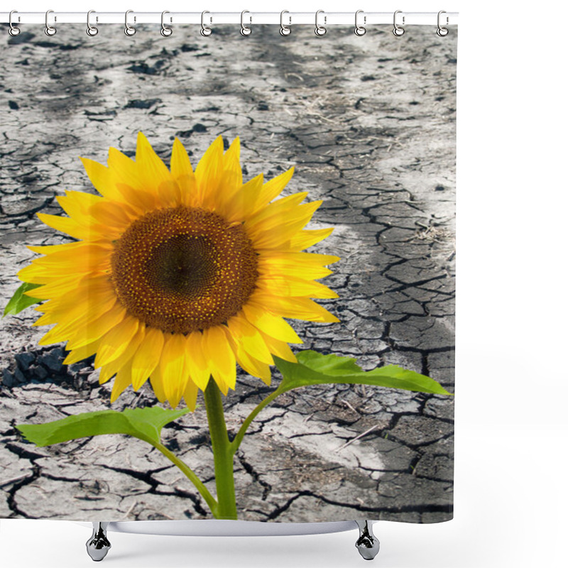 Personality  Sunflowers Shower Curtains