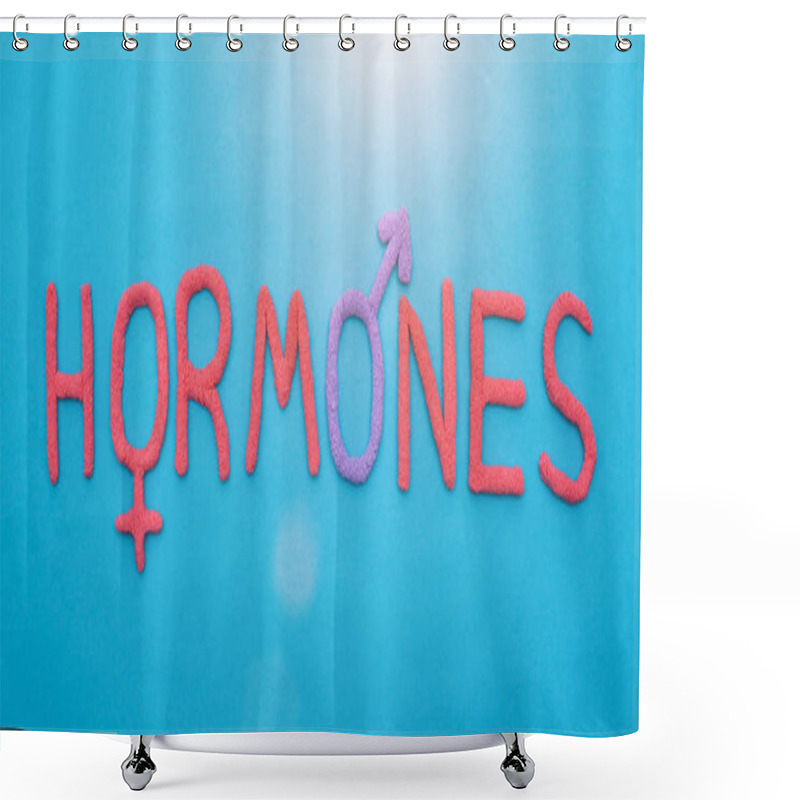 Personality  The Word Hormones From Red Plasticine On A Blue Background Concept Of All Human Hormones, Inscription Shower Curtains