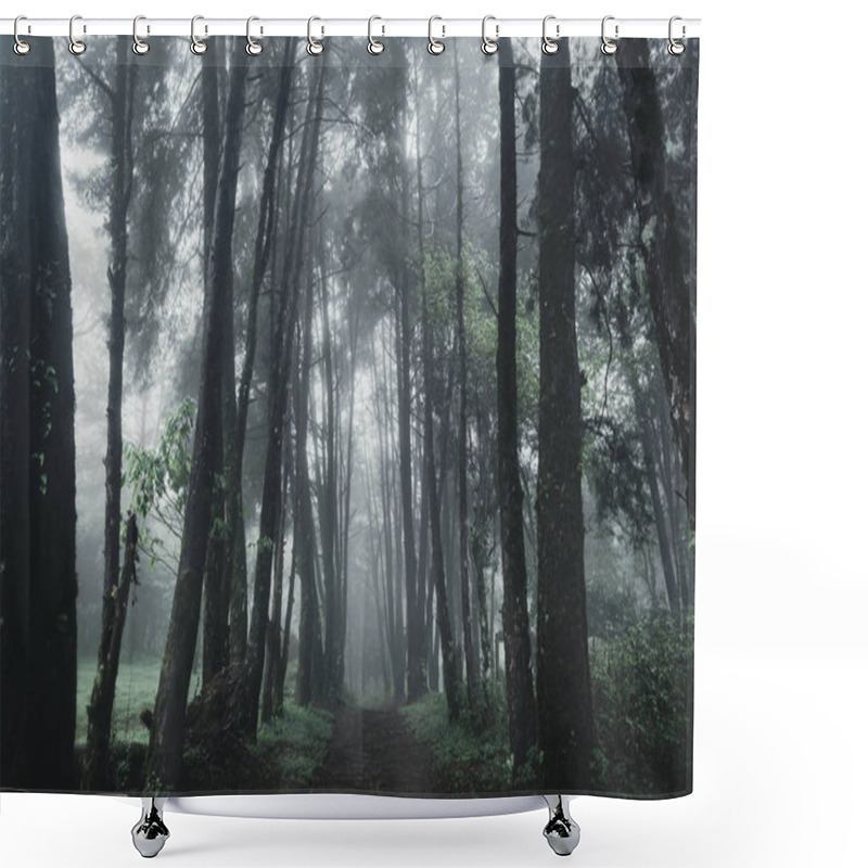 Personality  Forest Rain And Fog On The Moutain  Shower Curtains