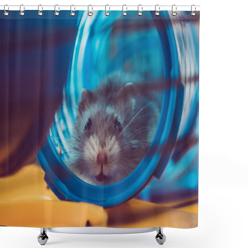 Personality  Selective Focus Of Cute Hamster Sitting In Blue Plastic Tunnel Shower Curtains