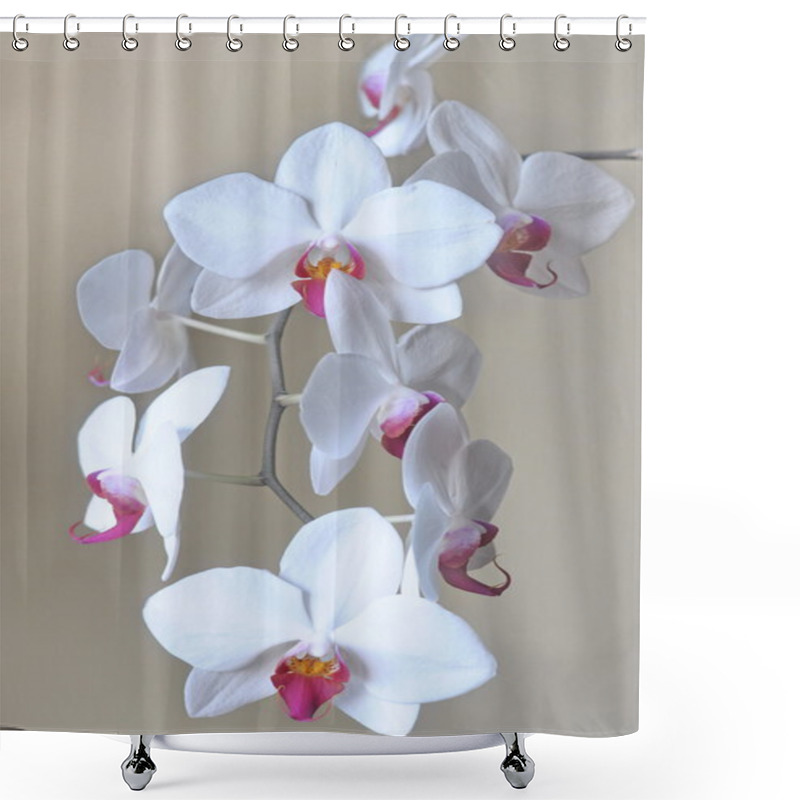 Personality  White Orchid Closeup Shower Curtains