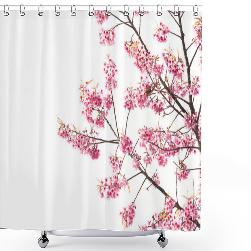 Personality  Sakura Flowers Or Cherry Blossom Shower Curtains