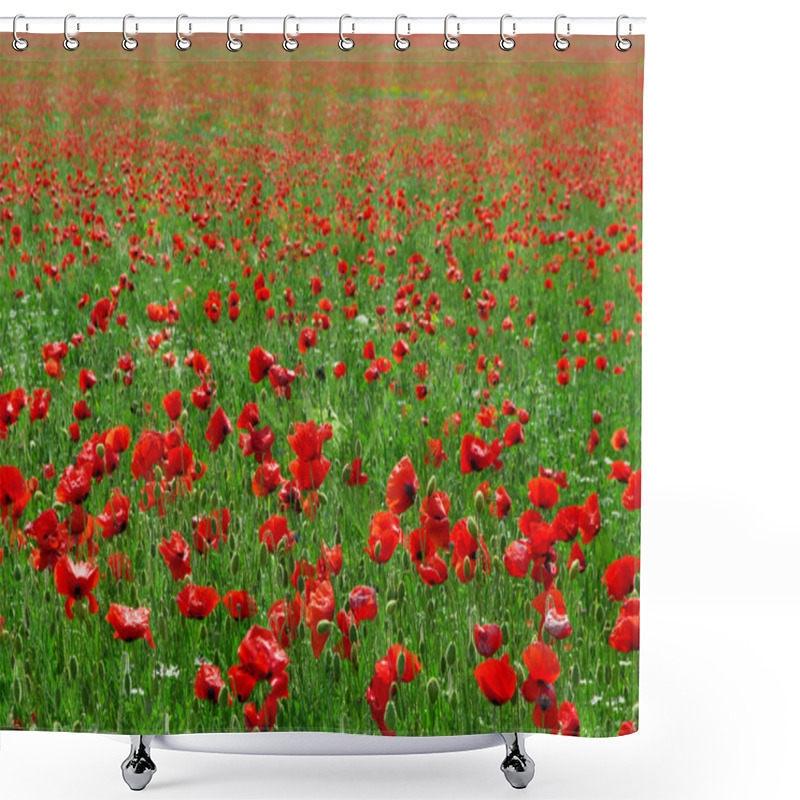 Personality  Big Red Meadow Shower Curtains