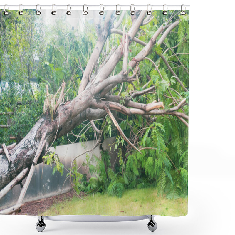 Personality  Fallen Big Tree Damage By Natural Windstorm Shower Curtains