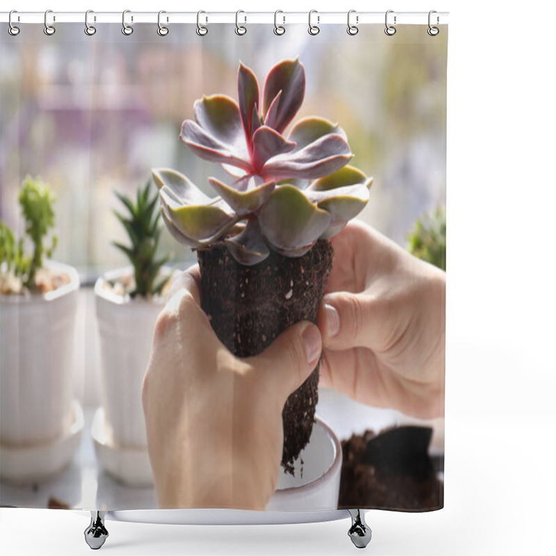 Personality  Florist Replanting Succulent Shower Curtains