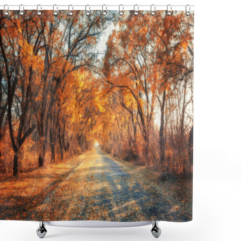 Personality  Autumn Forest. Forest With Country Road At Sunset Shower Curtains