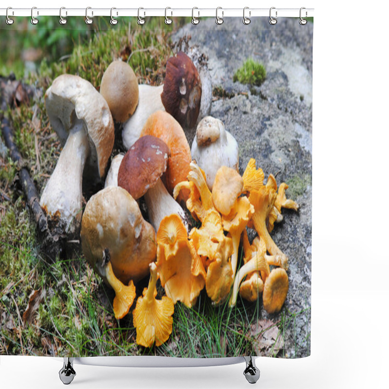 Personality  Mushrooms Shower Curtains