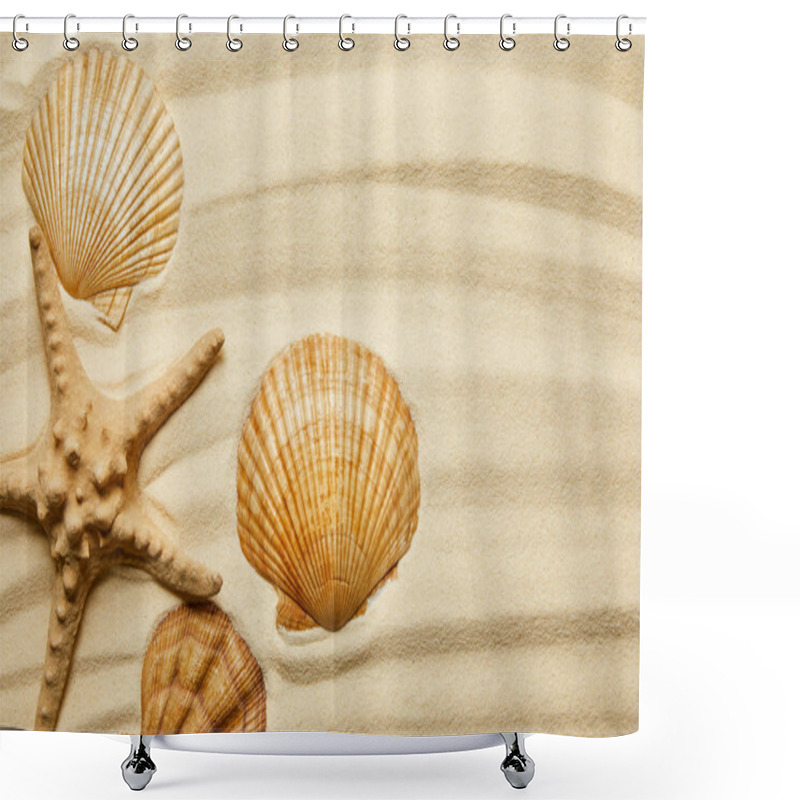 Personality  Orange Seashells Near Starfish On Sandy Beach In Summertime  Shower Curtains