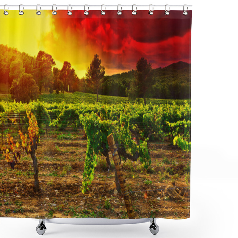 Personality  Vineyard Shower Curtains