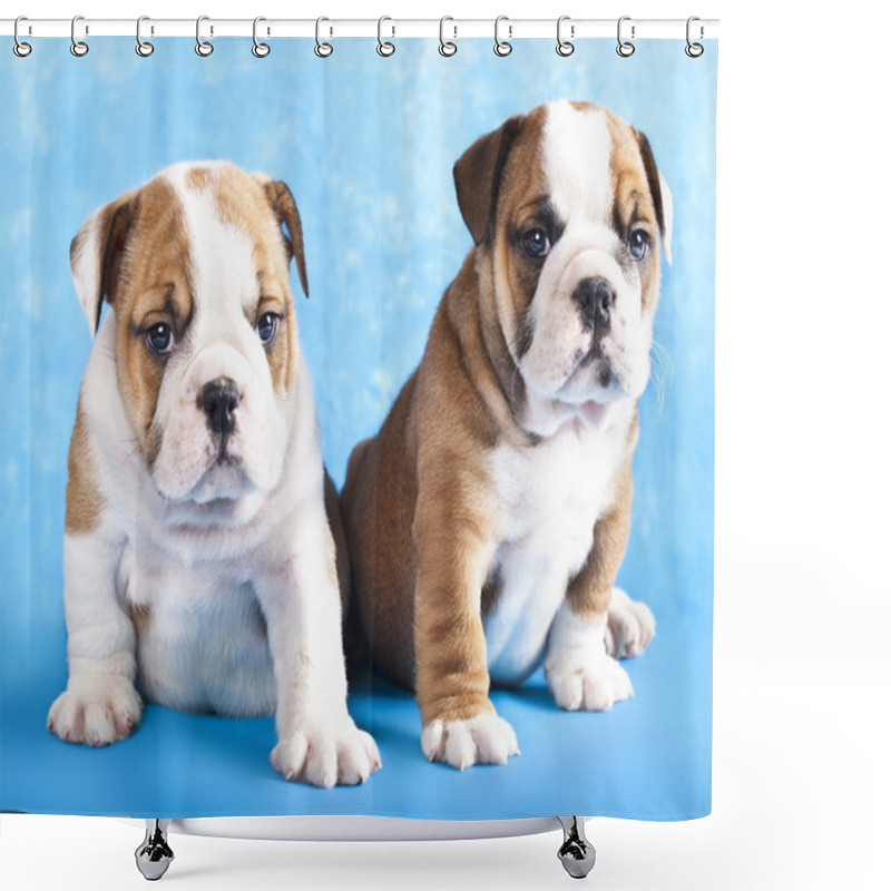 Personality  English Bulldog And Chess Shower Curtains