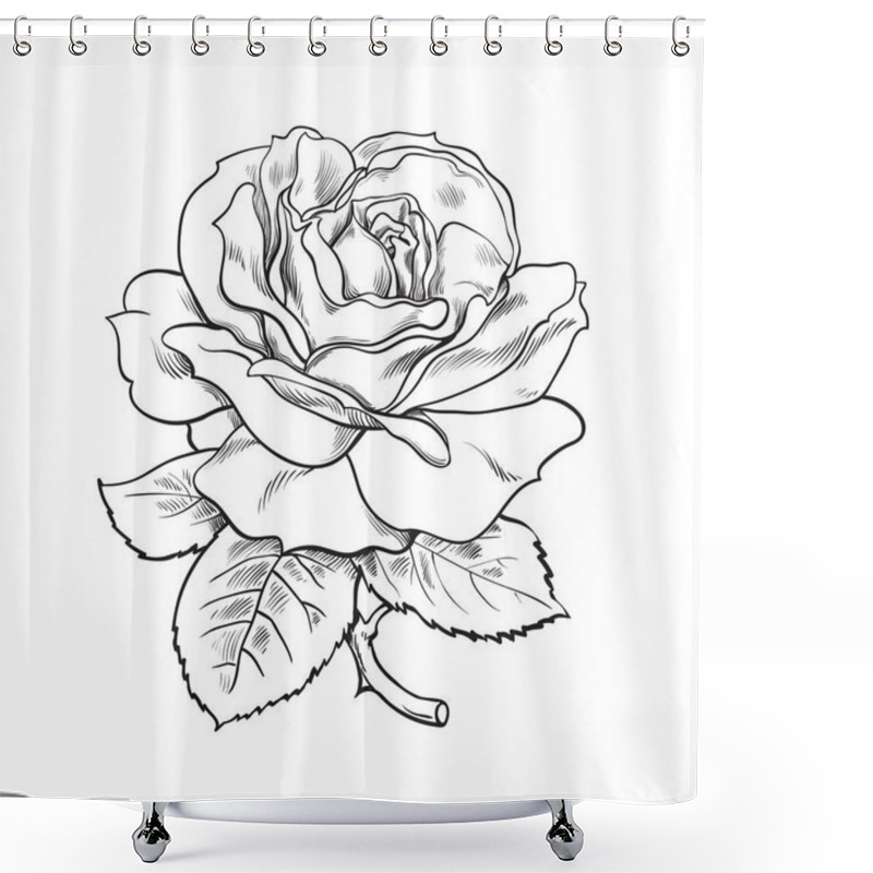 Personality  Black And White Rose Flower With Leaves And Stem. Vector Illustration Of Open Rose Bud. Hand Drawn Sketch. Shower Curtains