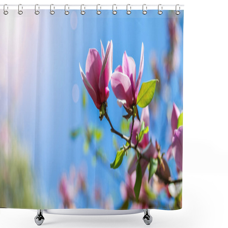 Personality  Magnolia Tree Blossom Shower Curtains