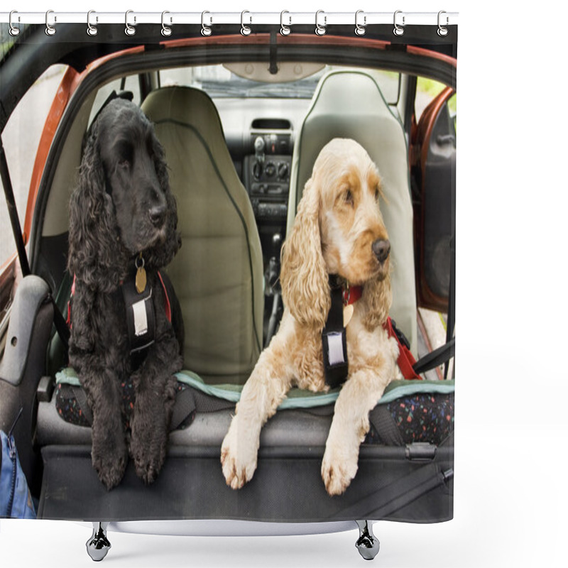 Personality  Cocker Spaniel Dogs Shower Curtains