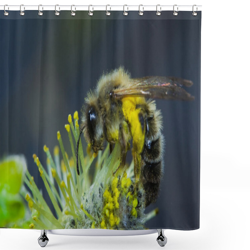 Personality  Working Bee Shower Curtains