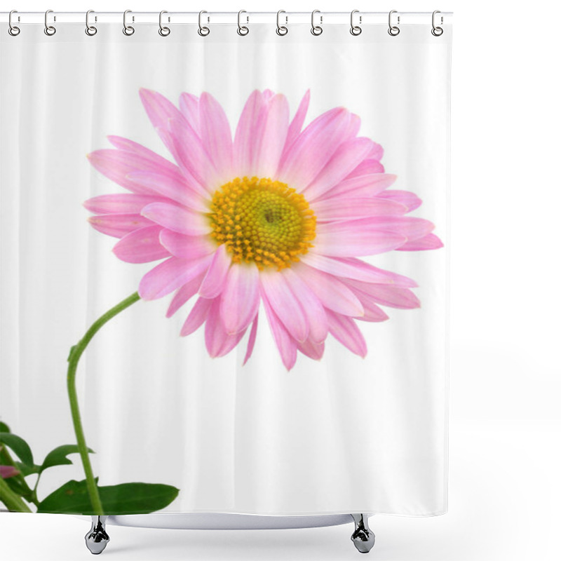 Personality  Single Chrysanthemum Shower Curtains