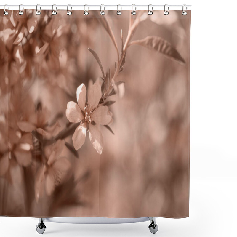 Personality  Beautiful Blooming Spring Cherry Branch With Blurred Background, Copy Space. Floral Background Toned With Sepia Color. Shower Curtains