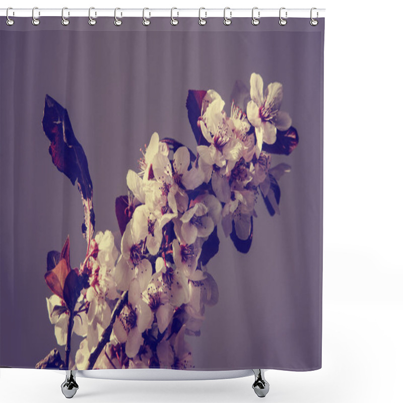 Personality  Cherry Tree Blossom  Flowers Shower Curtains