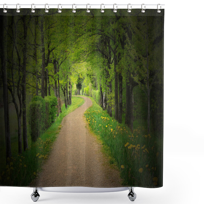 Personality  Mystical Path Through A Dark Forest Shower Curtains