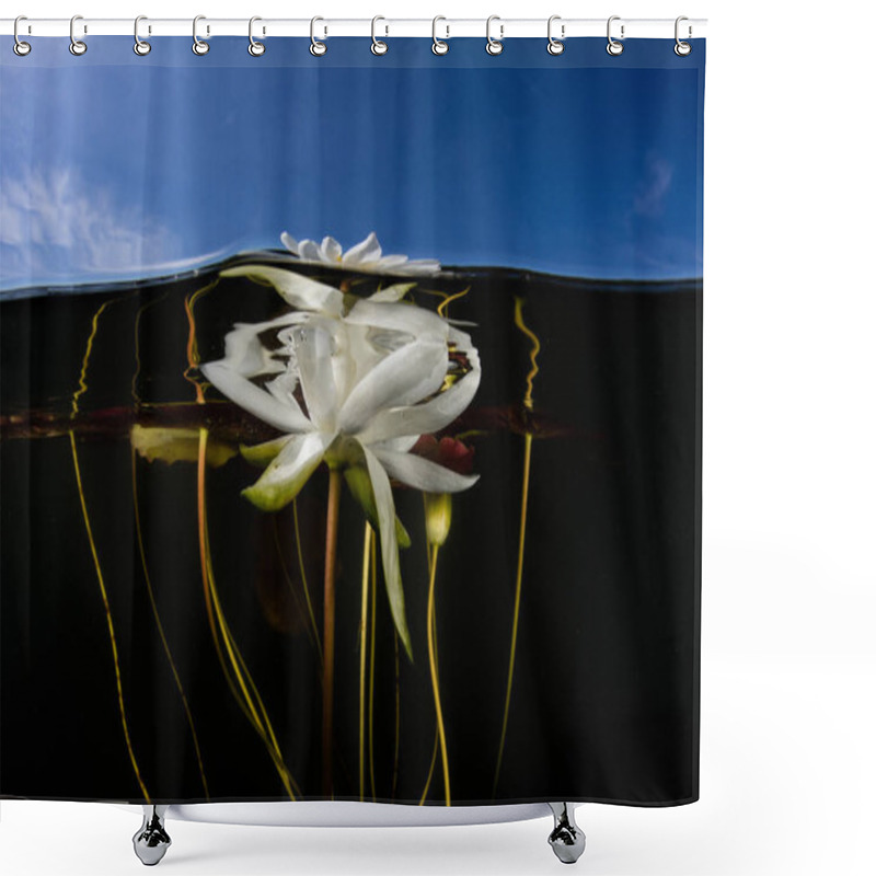 Personality  Lily Flower Underwater In Lake Shower Curtains