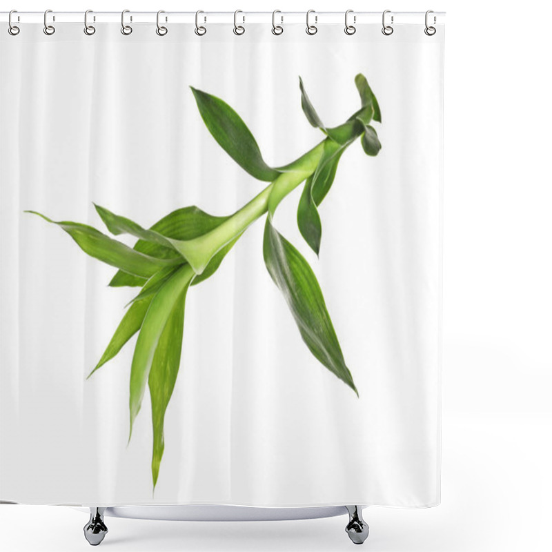 Personality  Beautiful Green Bamboo Leaves On White Background Shower Curtains