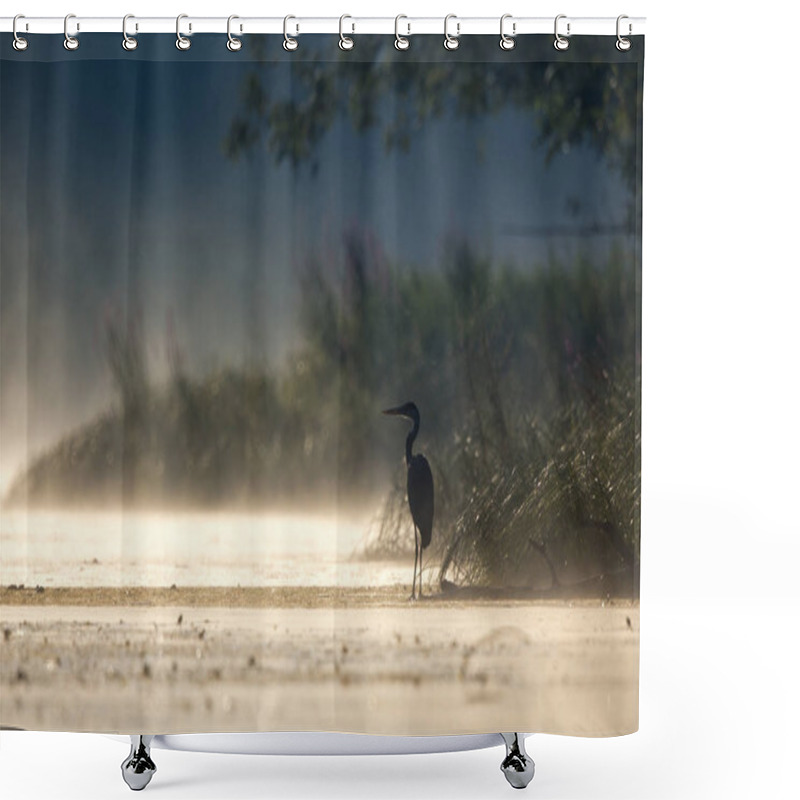 Personality  Gray Heron Standing On Coast At Dawn Shower Curtains