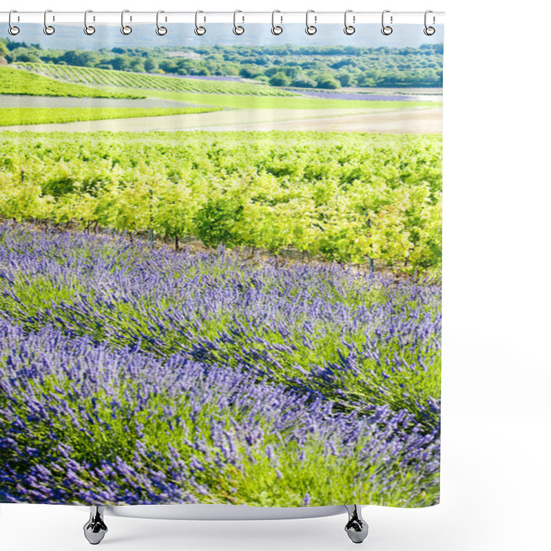 Personality  Lavender Field Shower Curtains