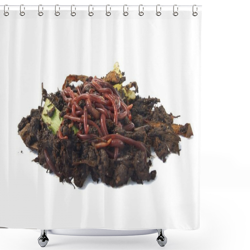 Personality  Earthworms In Compost Shower Curtains