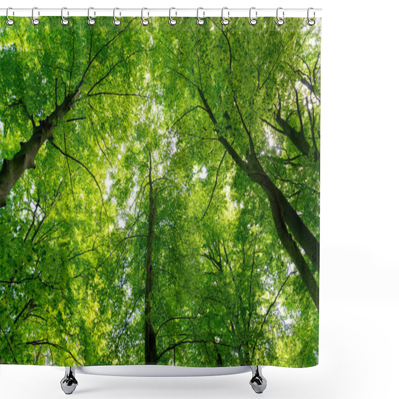 Personality  Natural Forest Of Beech  Shower Curtains