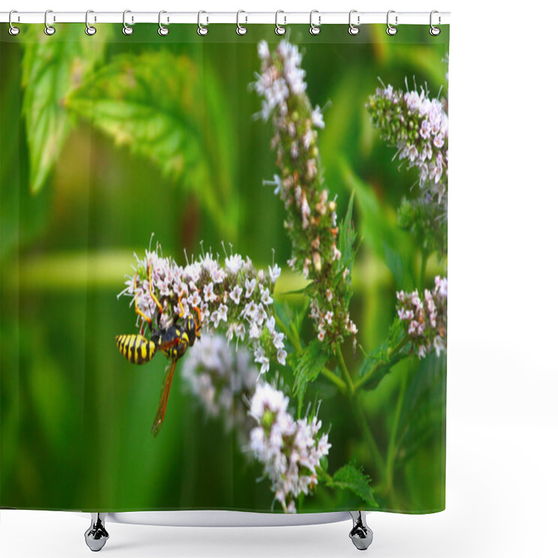 Personality  Wasp And Green Leaf Shower Curtains