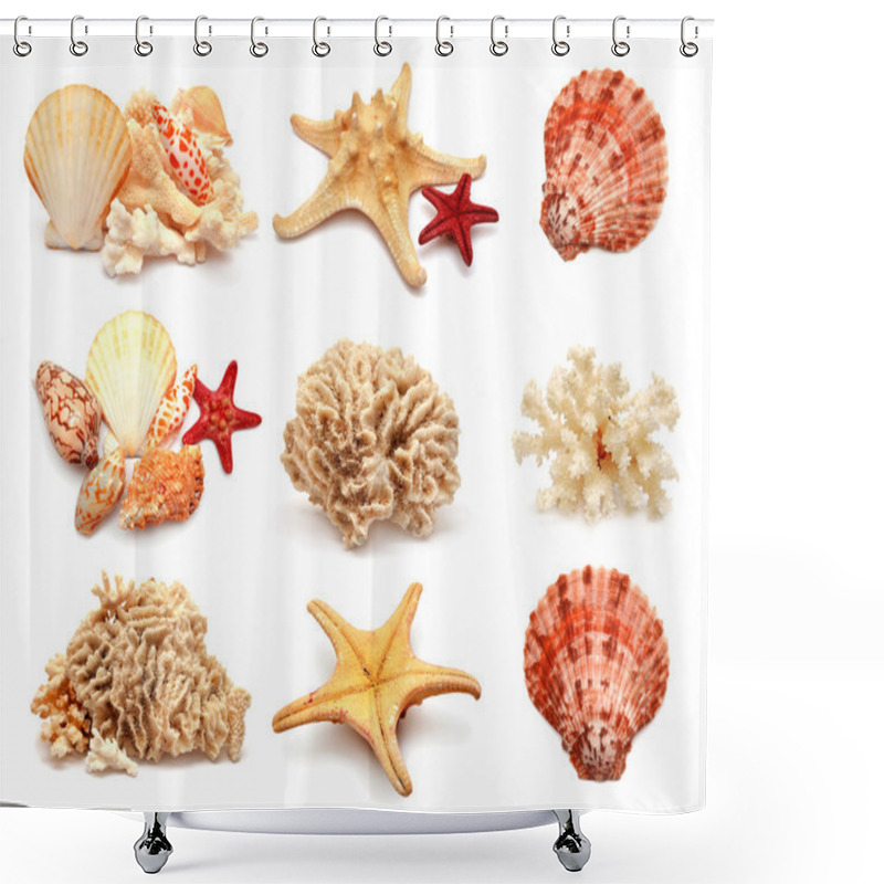 Personality  Sea Stars, Shells And Coral Shower Curtains