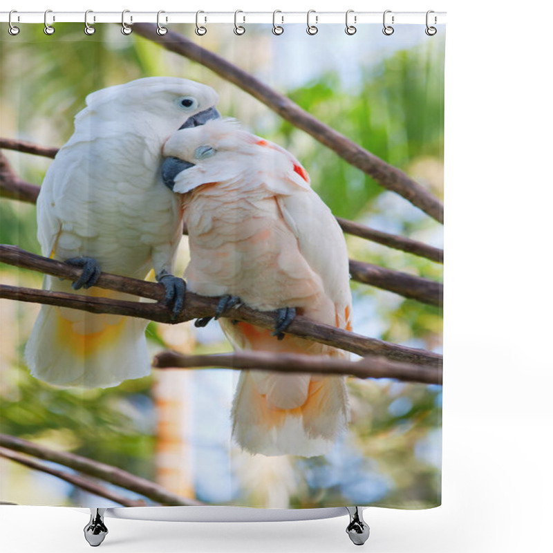 Personality  Pair Of Cockatoo Parrots On The Tree Shower Curtains