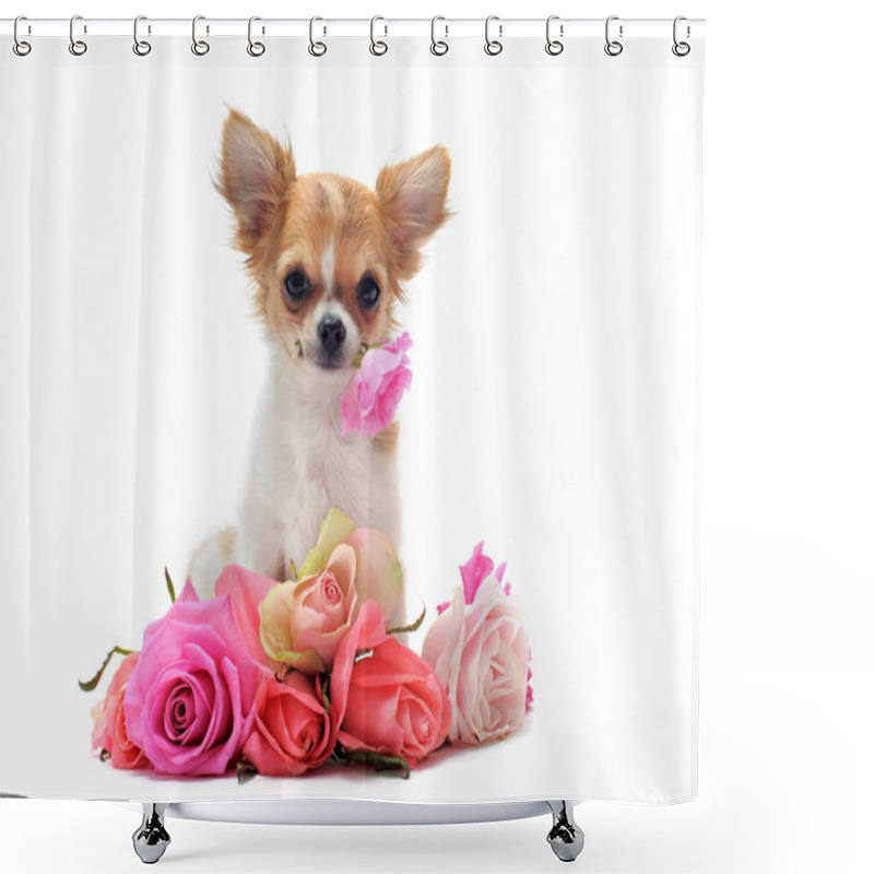 Personality  Puppy Chihuahua And Flower Shower Curtains